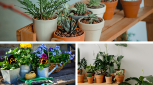 21 melhores idéias de jardim de panelas quebradas
