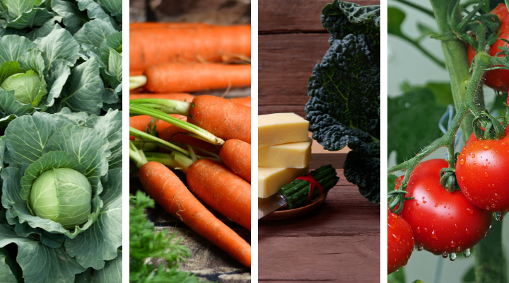 15 layouts de plantas que realmente funcionam em jardins reais