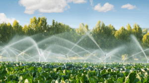 23 Idéias de irrigação de jardins geniais que todo jardineiro deve saber
