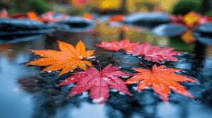 17 maneiras geniais de como usar folhas de cobertura reflexiva no jardim