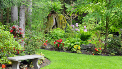 idéias de floresta alimentar