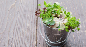 18 idéias de plantador de balde fácil para uma casa mais ecológica