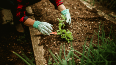 idéias de bolsas de cultivo